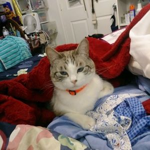 Meet your Posher, Mamie